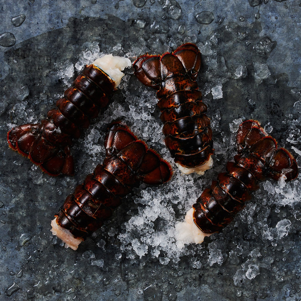 Maine Lobster Tails, 4-5oz each (2-pack)