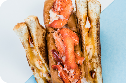 lobster meat