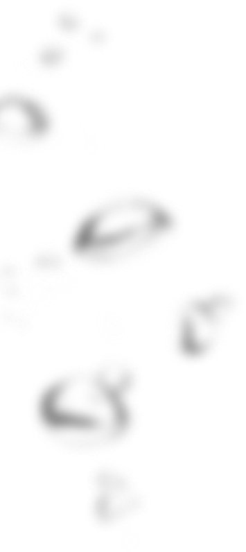 bubbles