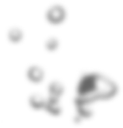 bubbles