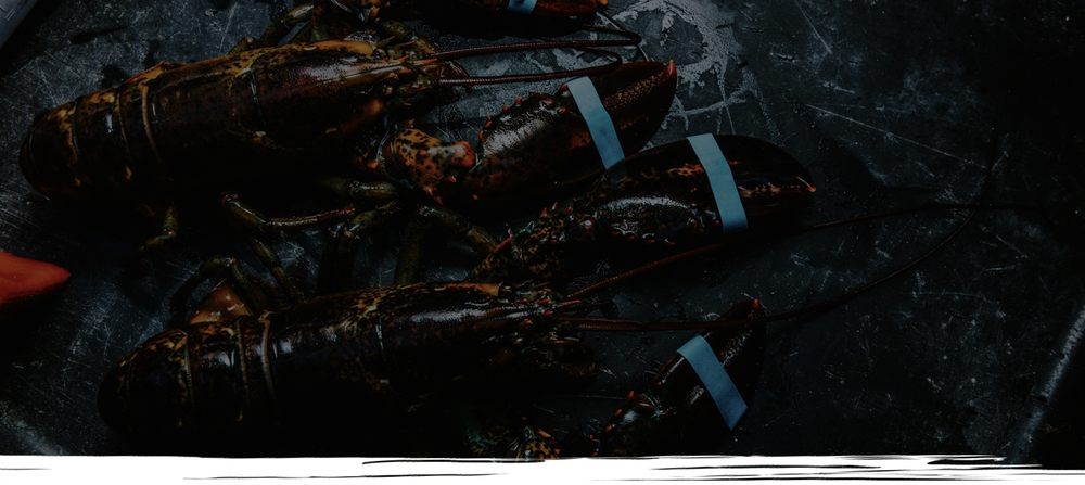 Fish & crab
