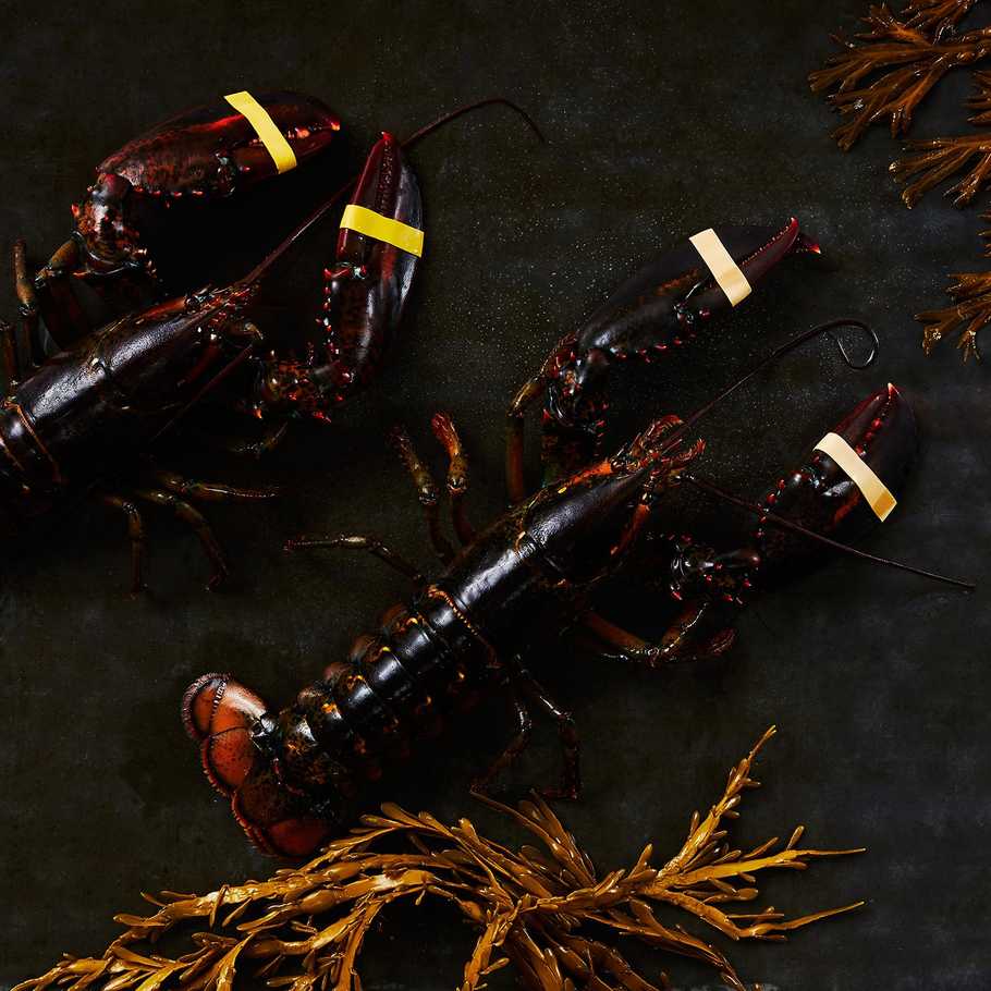 Live Lobsters (Minimum 2)